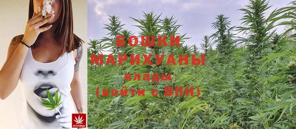 дурь Наволоки