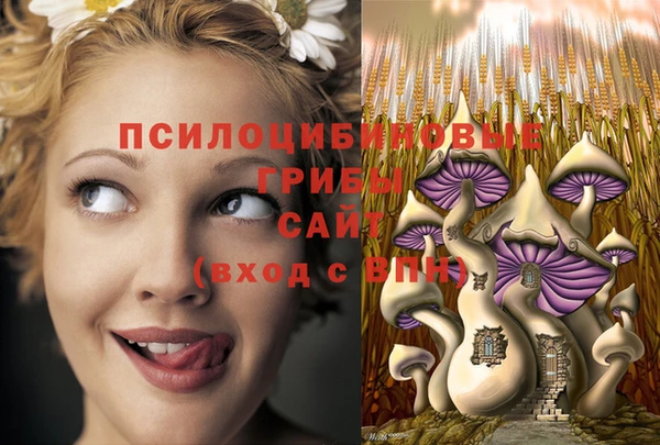 дурь Наволоки