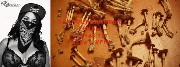 дурь Наволоки