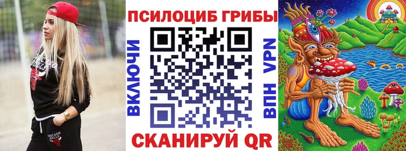 Псилоцибиновые грибы Psilocybe  даркнет сайт  Краснослободск 